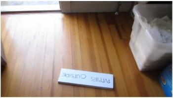 OutsidePuppiesJuly19