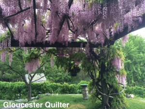 GloucesterQuilter_Wisteria2015