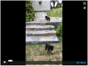 Screen Shot 2015-08-26 at 8.03.36 PM